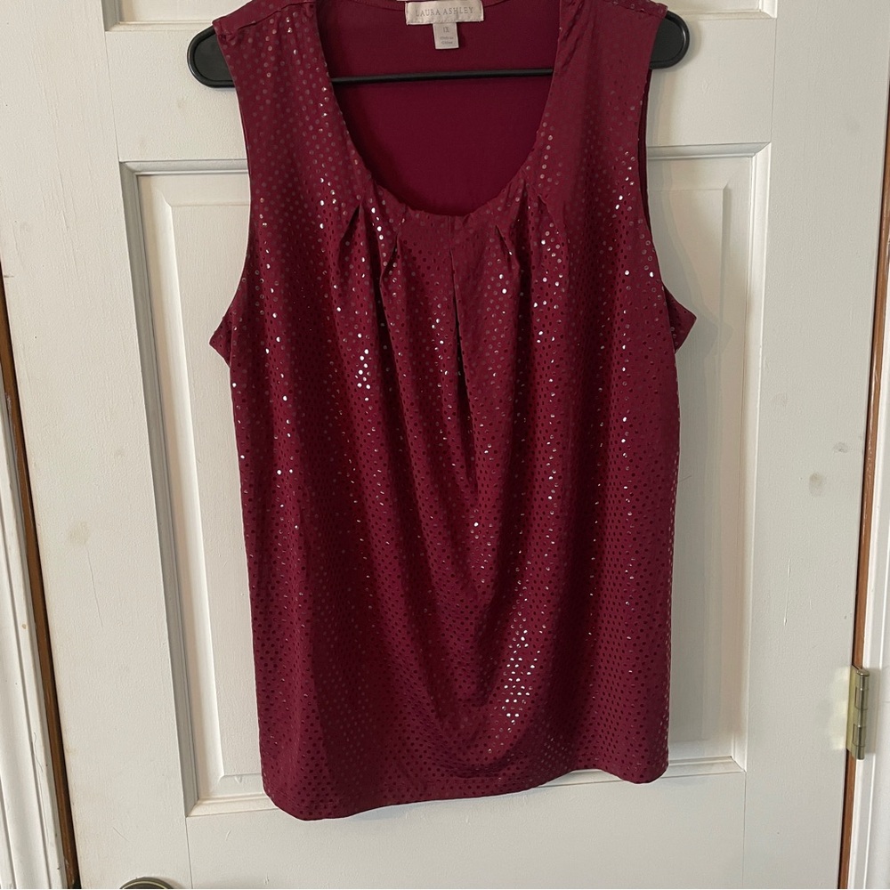 Elegant Burgundy Sleeveless Top
Size 1X